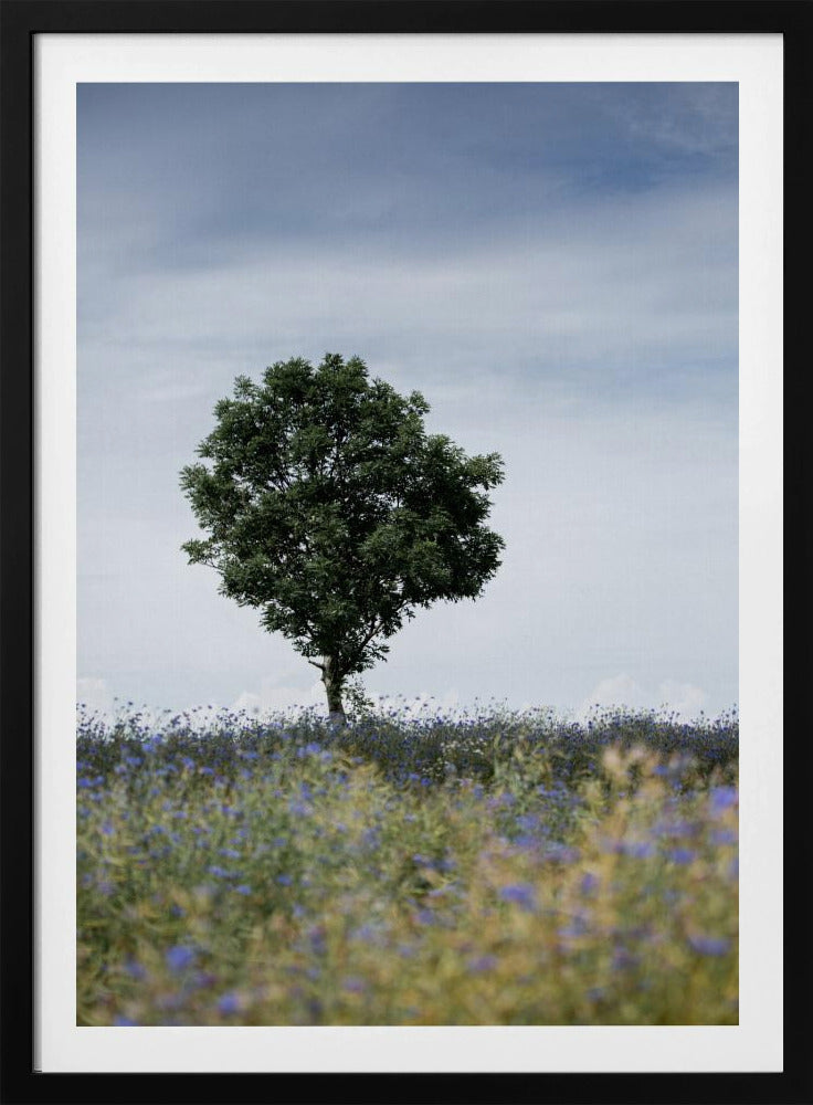 Summer Meadow | Poster