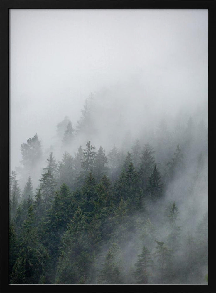 Foggy Morning 2 | Poster