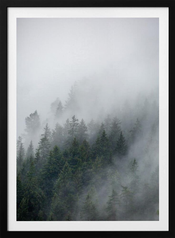 Foggy Morning 2 | Poster
