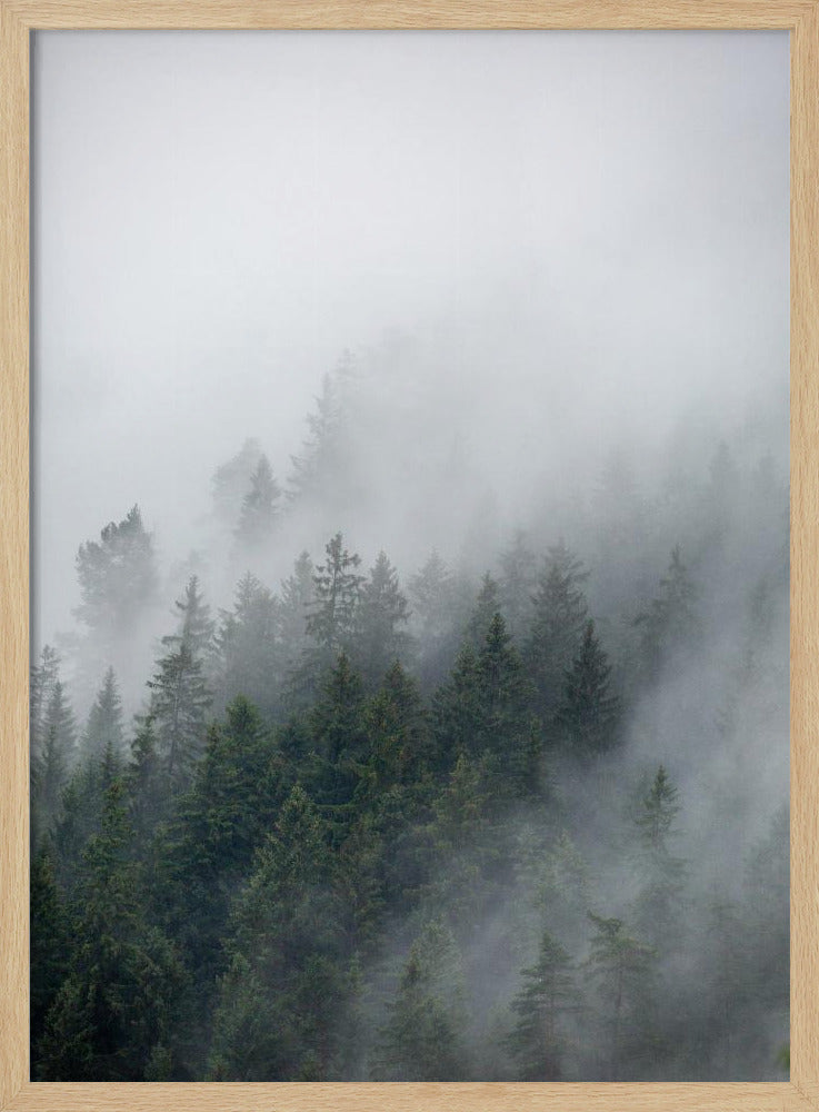 Foggy Morning 2 | Poster