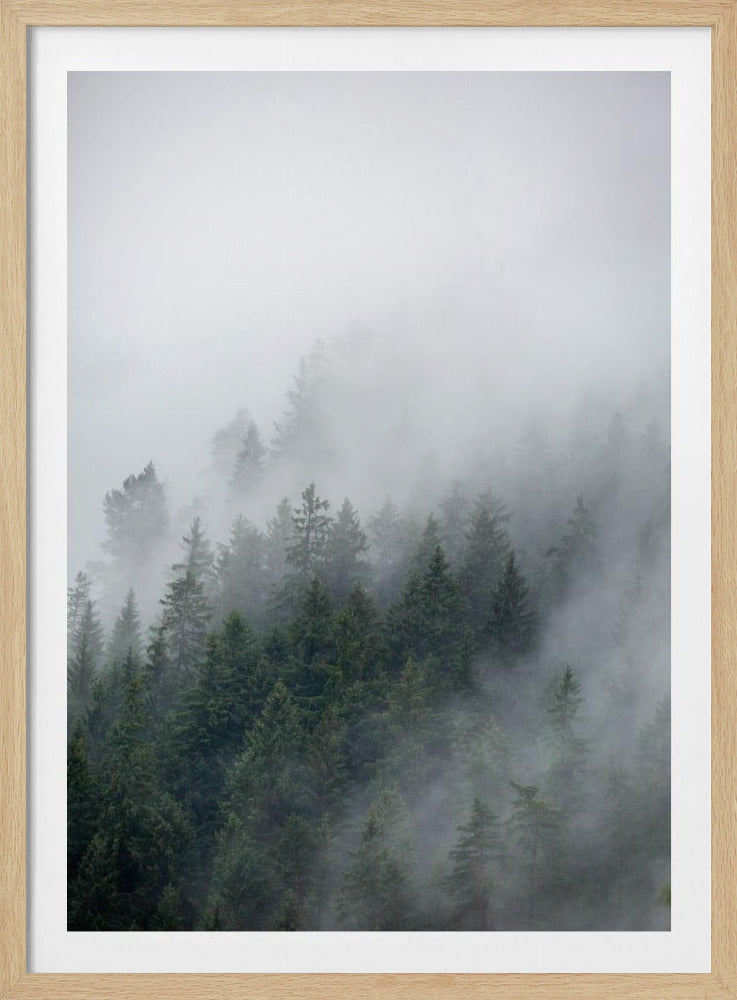 Foggy Morning 2 | Poster