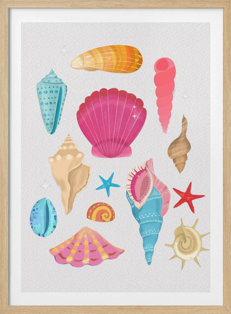 Seashells | Poster