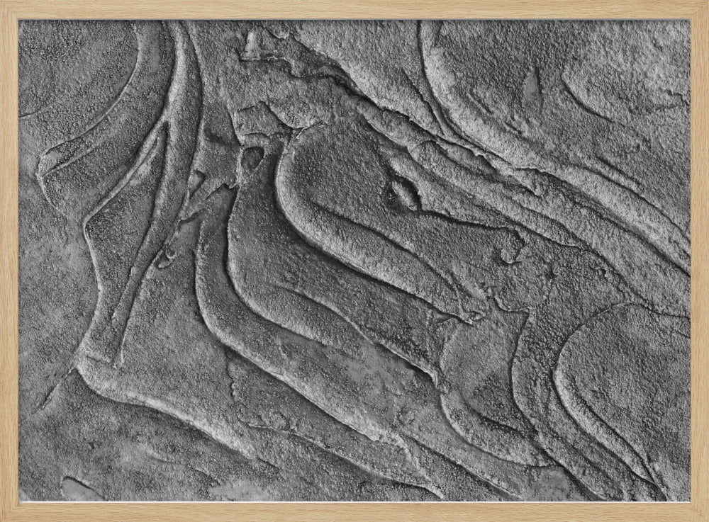 Tex1 1 Grey Dsc4506 | Poster