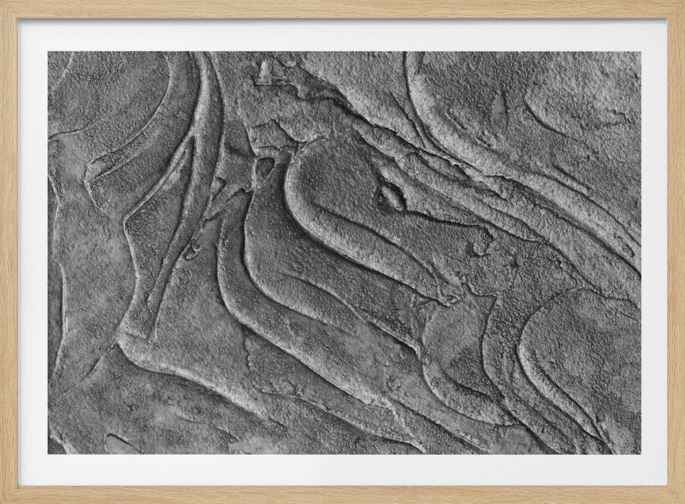 Tex1 1 Grey Dsc4506 | Poster