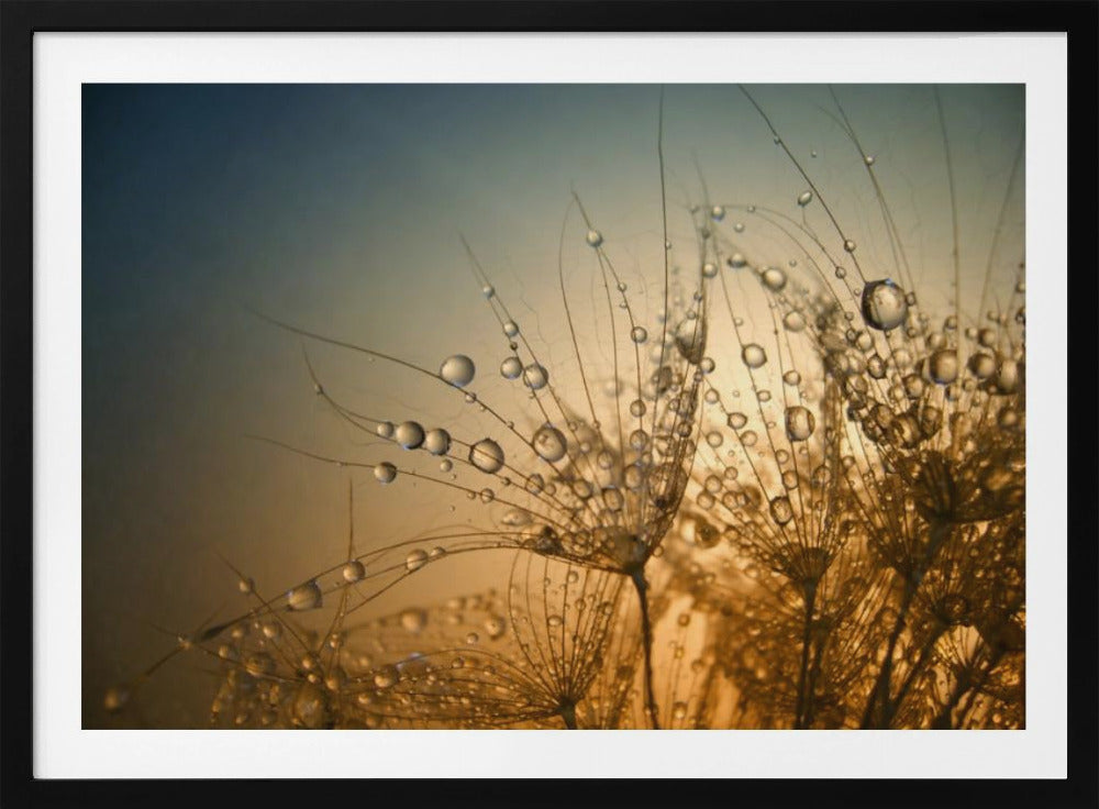 Tender is the Night | Poster