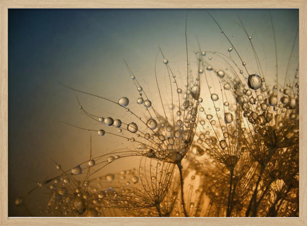 Tender is the Night | Poster