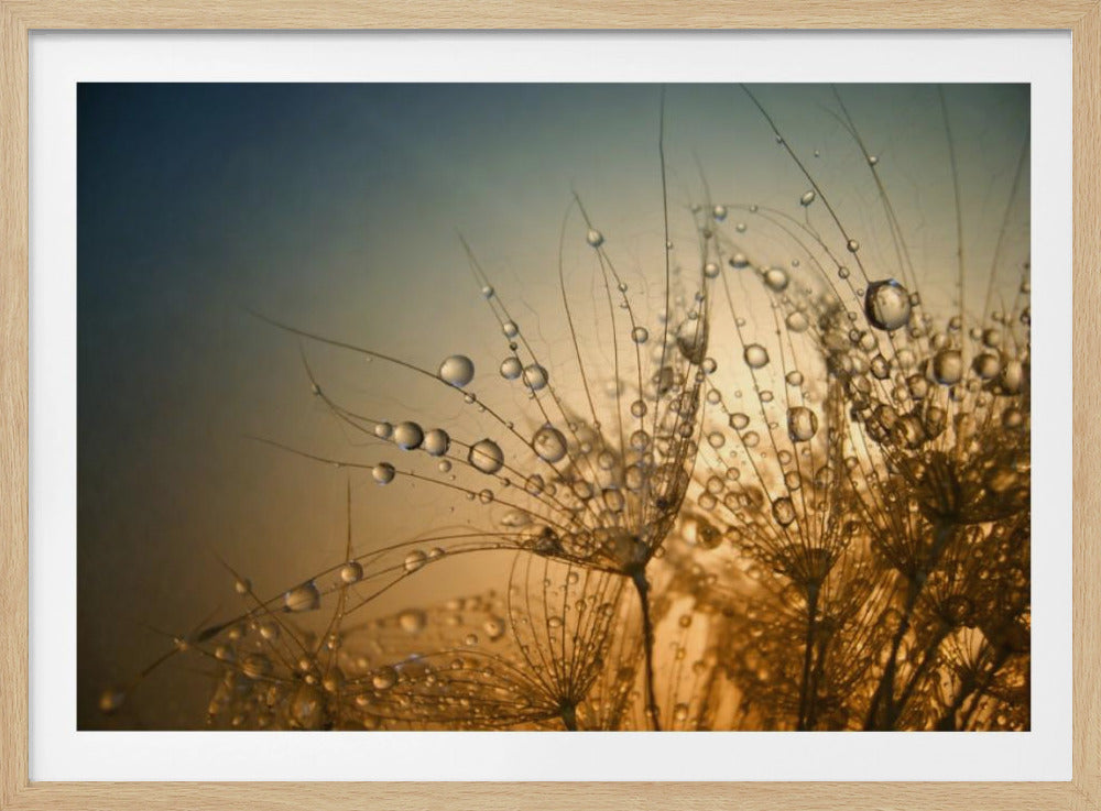 Tender is the Night | Poster