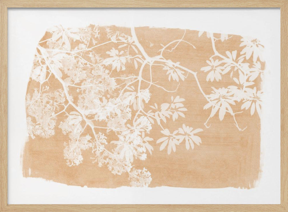 Orange Tree Foliage Silhouette | Poster