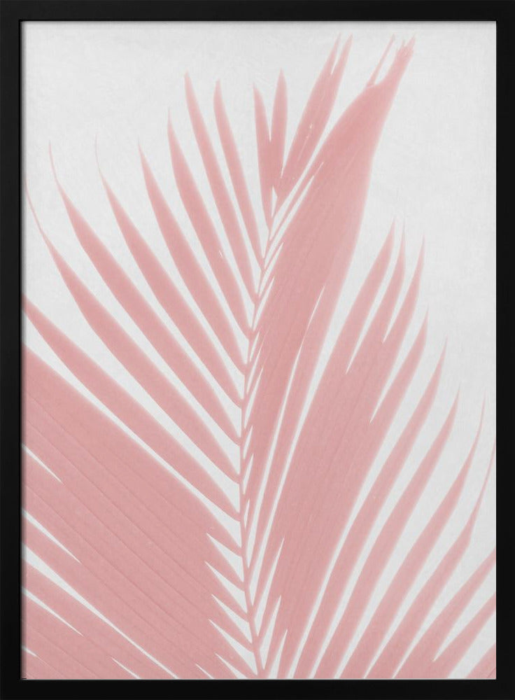 Pink Palm Leaves Silhouette | Poster