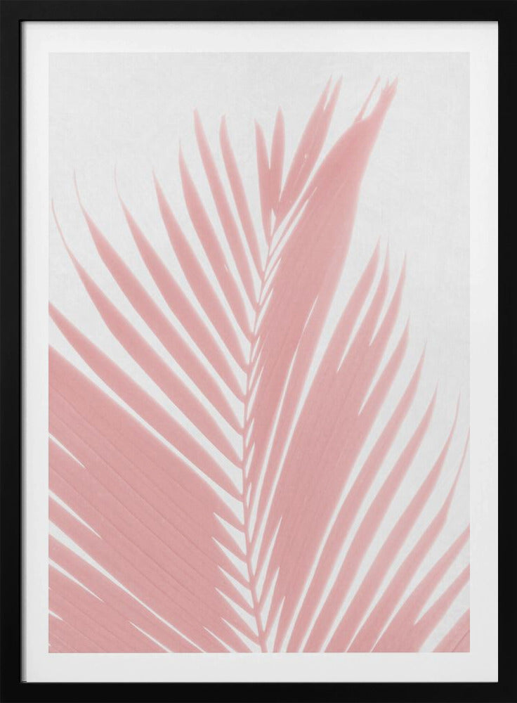 Pink Palm Leaves Silhouette | Poster
