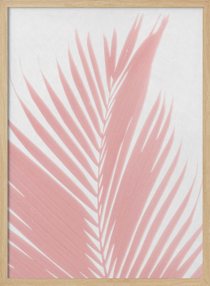 Pink Palm Leaves Silhouette | Poster