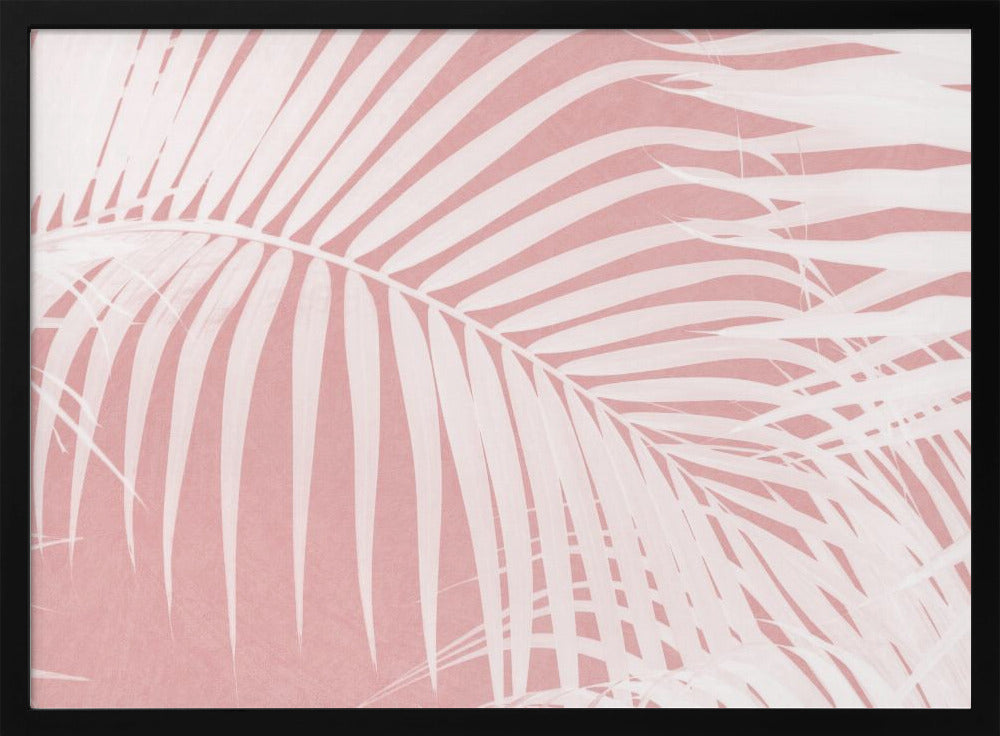 Palm Leaves On Pink Silhouette IV | Poster