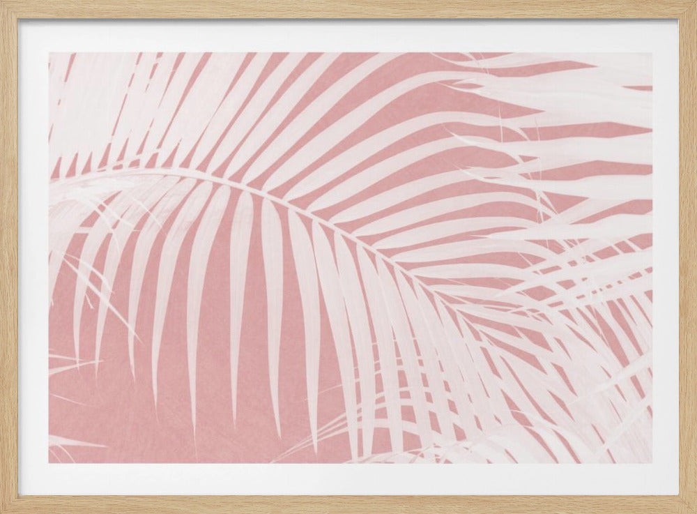 Palm Leaves On Pink Silhouette IV | Poster