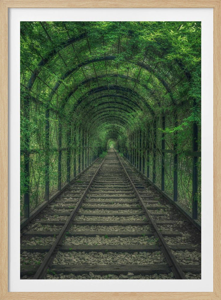 Green Tunnel | Poster