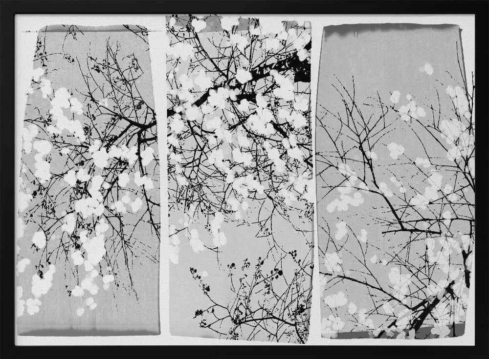 Oriental Blossom | Poster