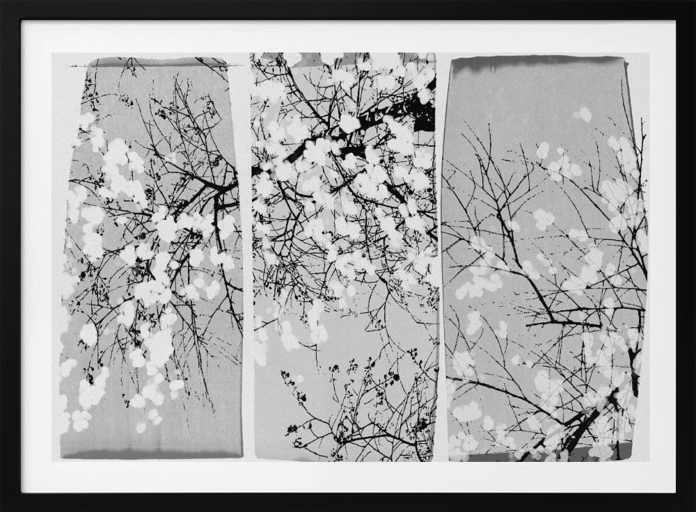 Oriental Blossom | Poster