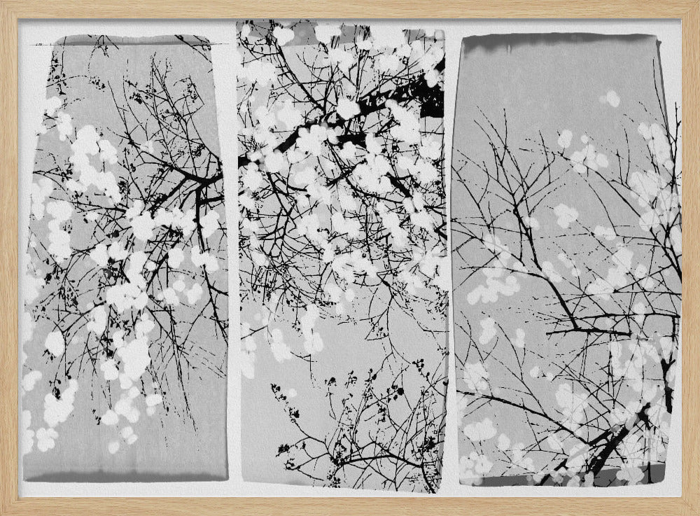 Oriental Blossom | Poster