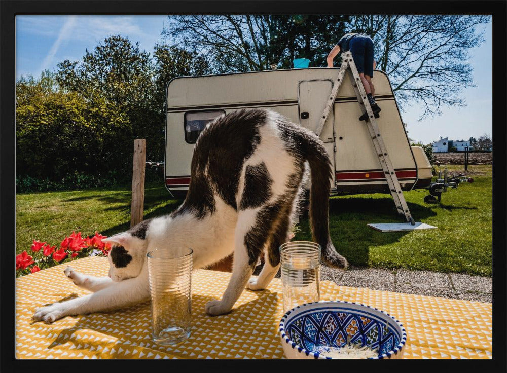 Simular poses... | Poster