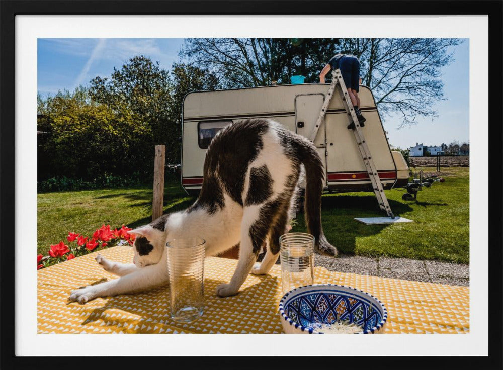 Simular poses... | Poster