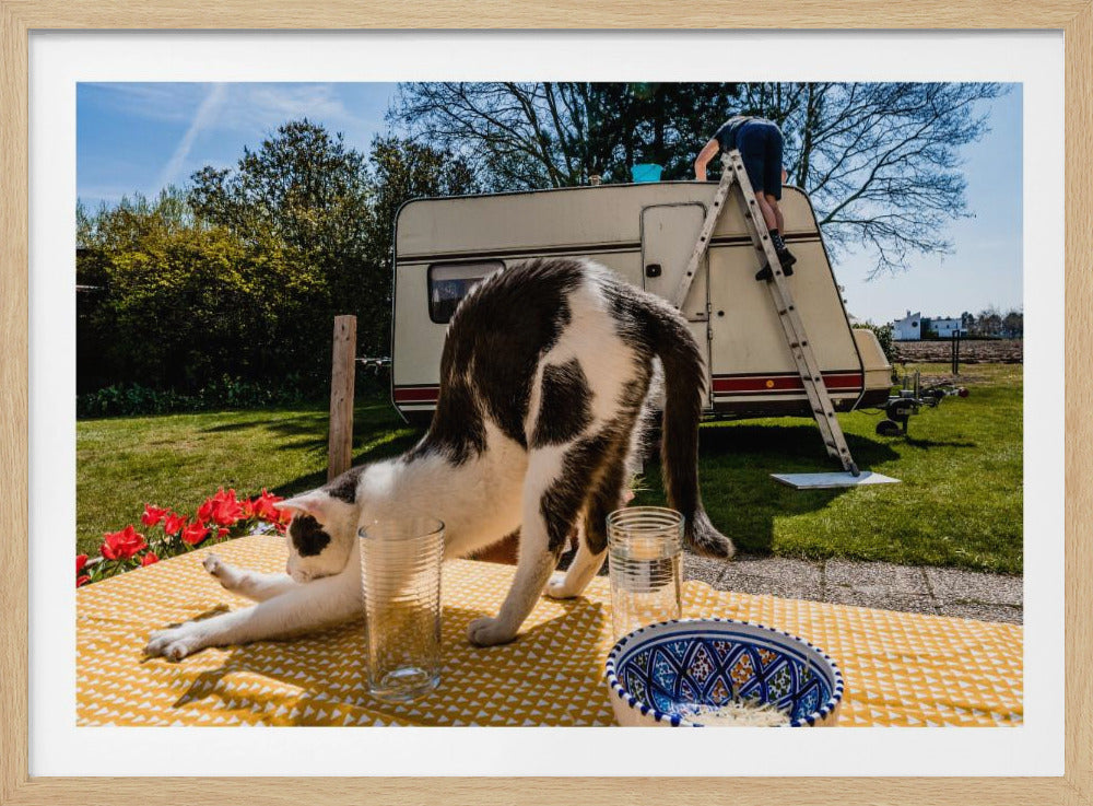 Simular poses... | Poster