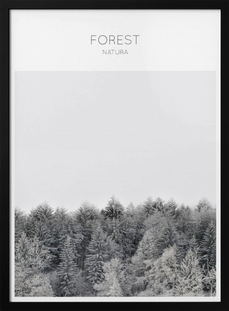 Frosted Tranquility | Poster