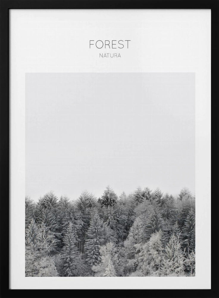 Frosted Tranquility | Poster