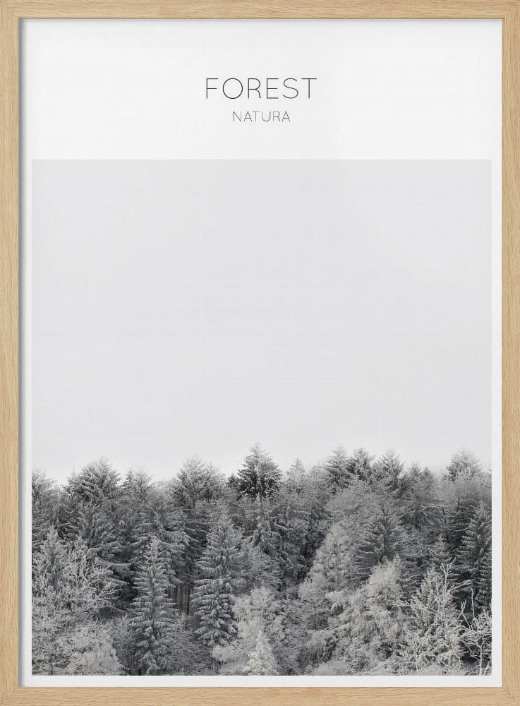 Frosted Tranquility | Poster