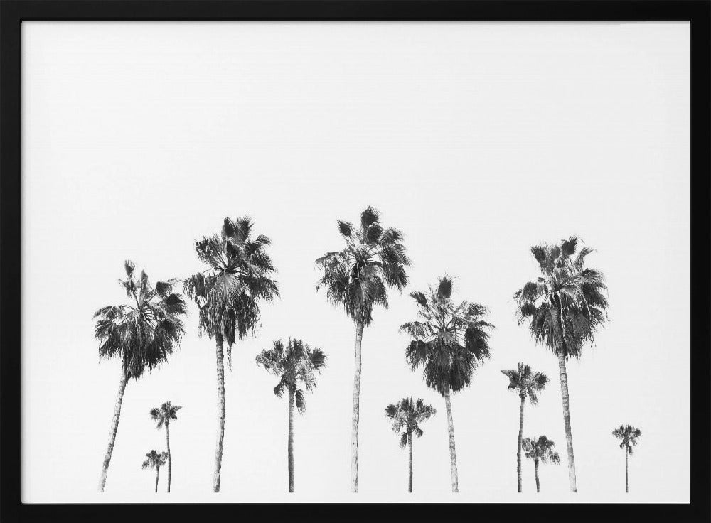 Swaying Palms | Poster