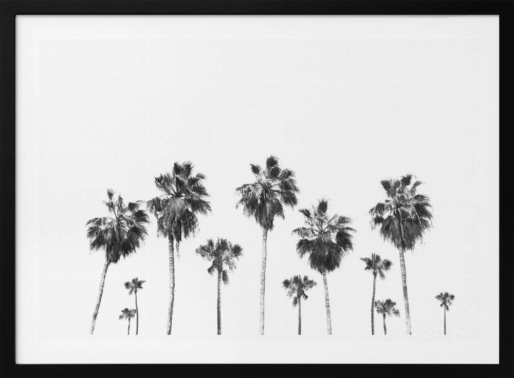 Swaying Palms | Poster