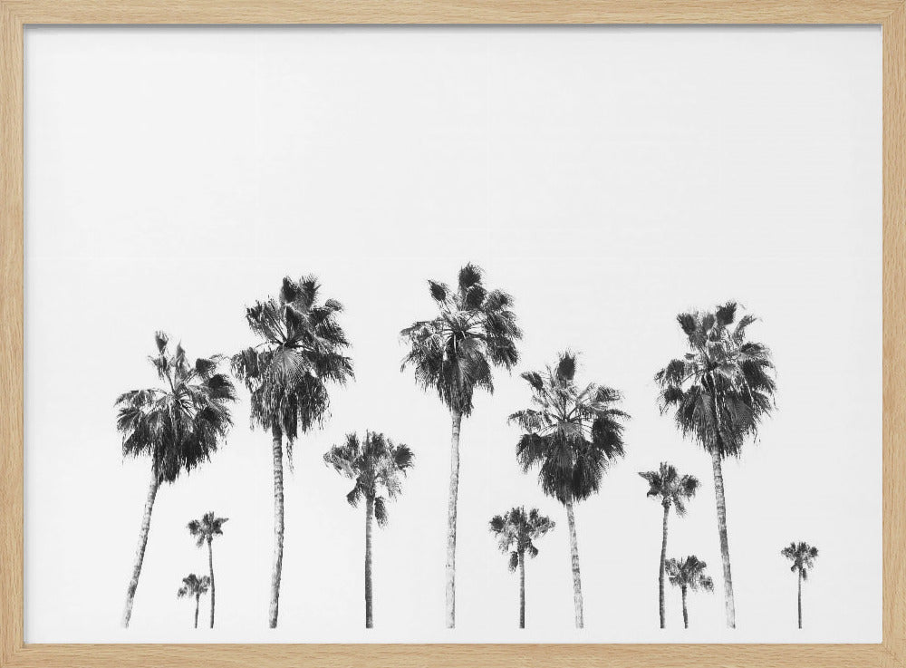 Swaying Palms | Poster