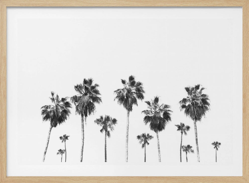 Swaying Palms | Poster