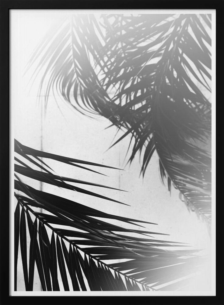 Palm Silhouettes | Poster