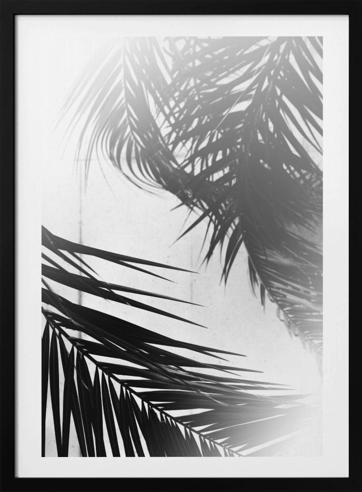 Palm Silhouettes | Poster
