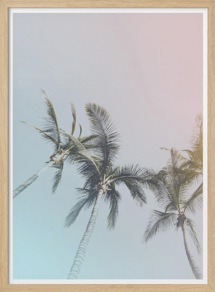 Pastel Palms Bliss | Poster