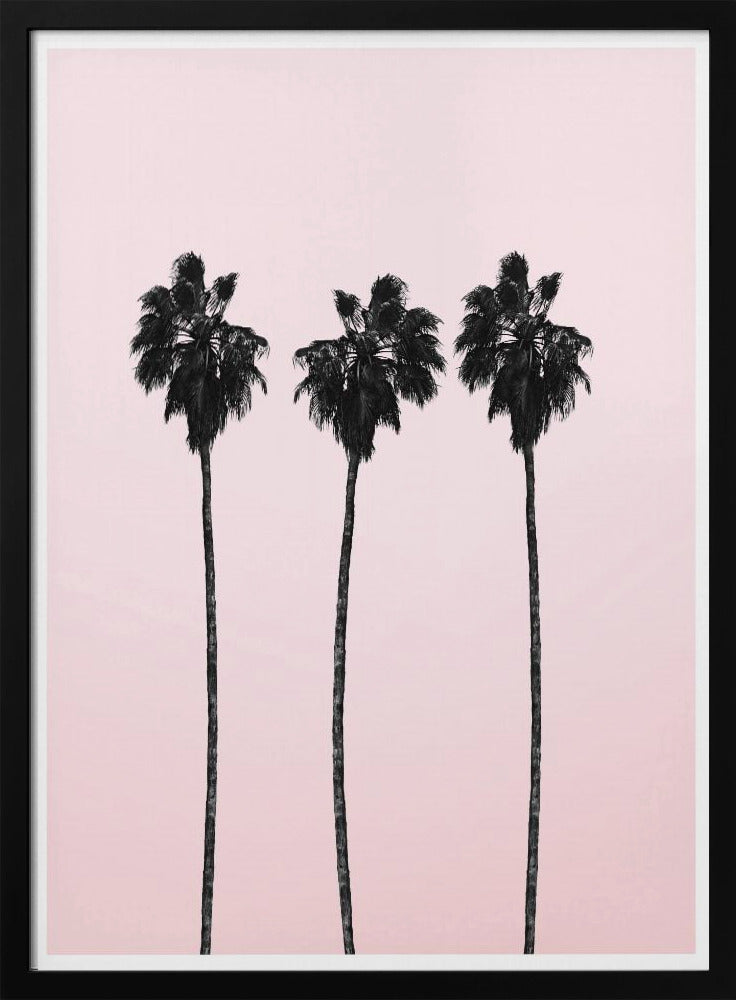 Three Tall Palms | Poster