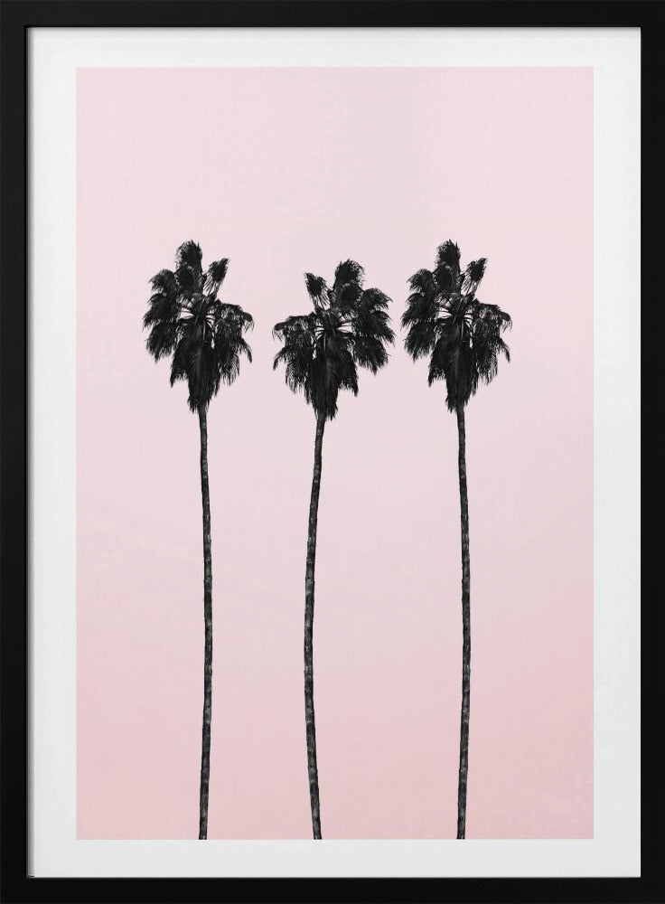 Three Tall Palms | Poster