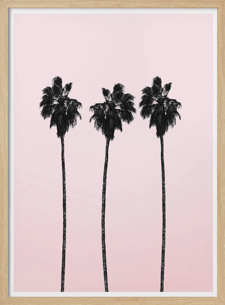 Three Tall Palms | Poster