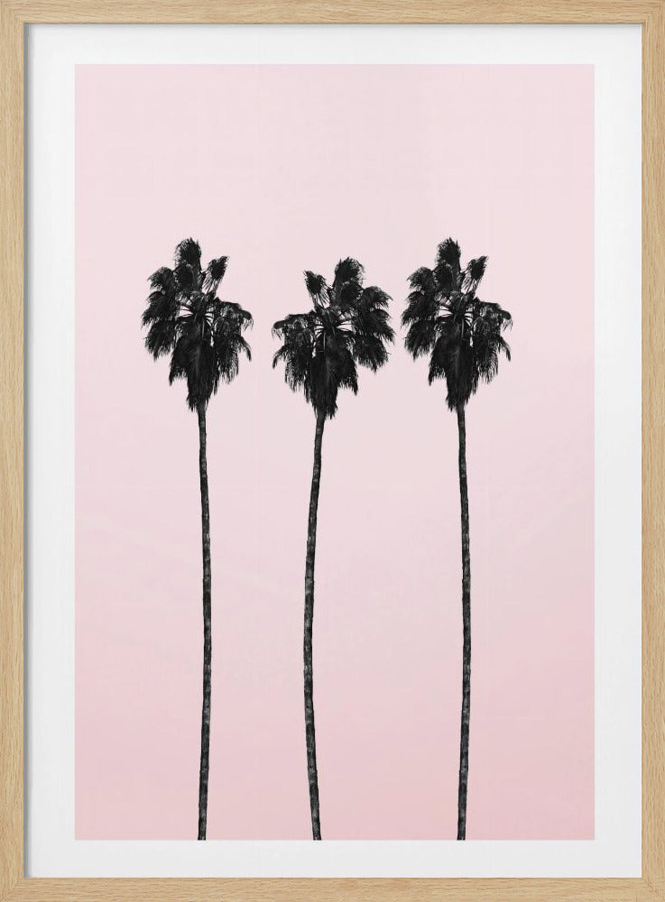 Three Tall Palms | Poster