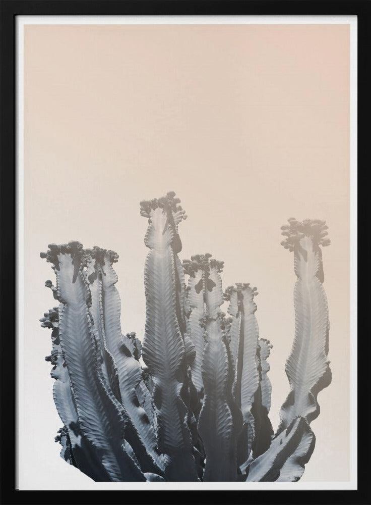 Cactus Silhouettes | Poster