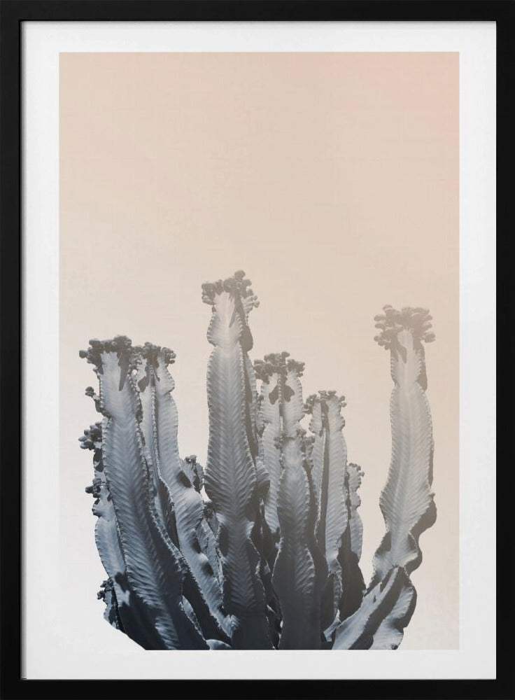 Cactus Silhouettes | Poster