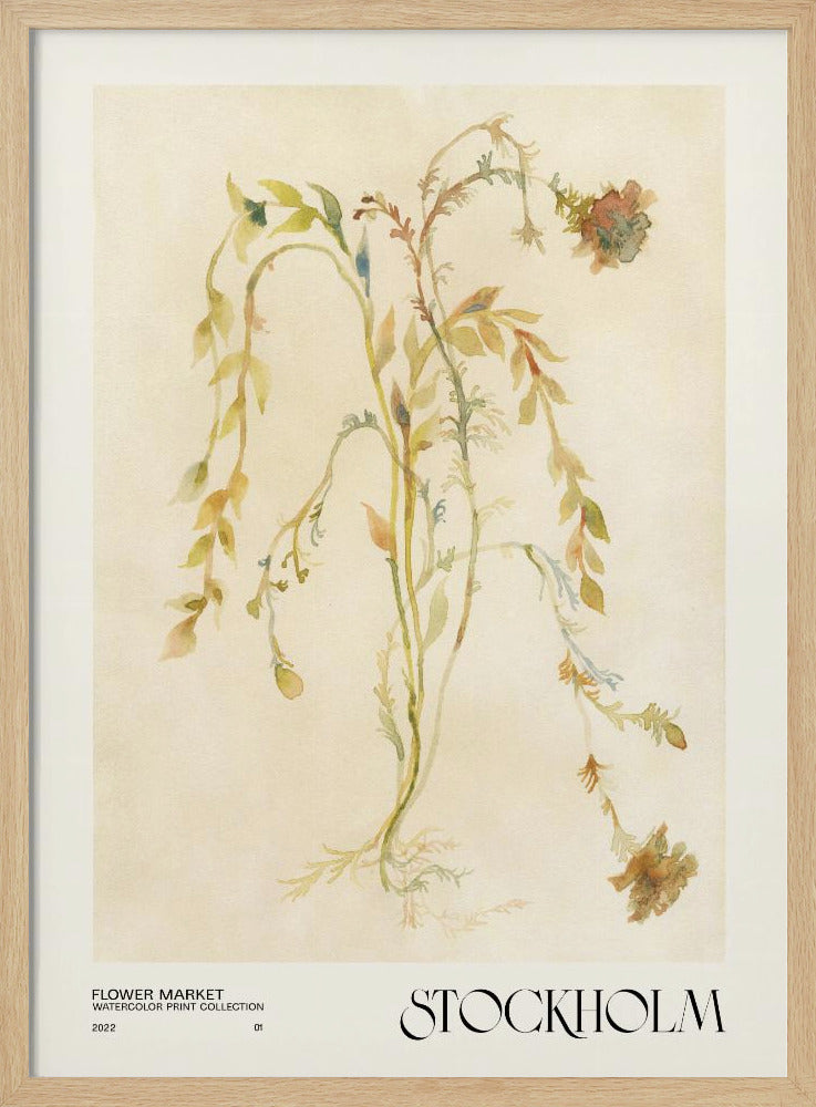 Watercolor print collection. Flower market - Stockholm | Poster