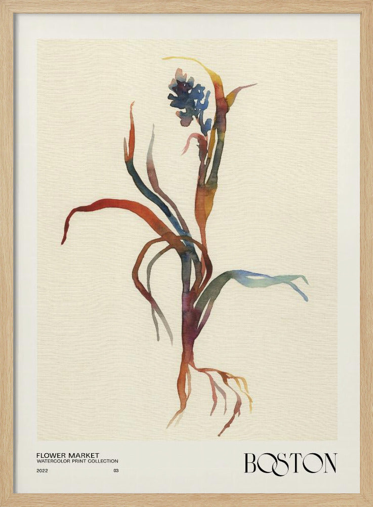 Watercolor print collection. Flower market - Boston | Poster
