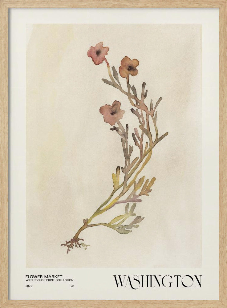 Watercolor print collection. Flower market - Washington | Poster