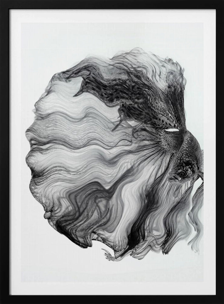 INK BETTA | Poster