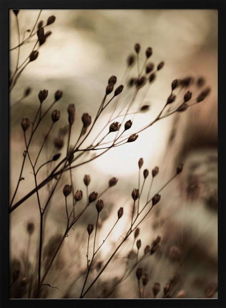 Autumn Lights | Poster