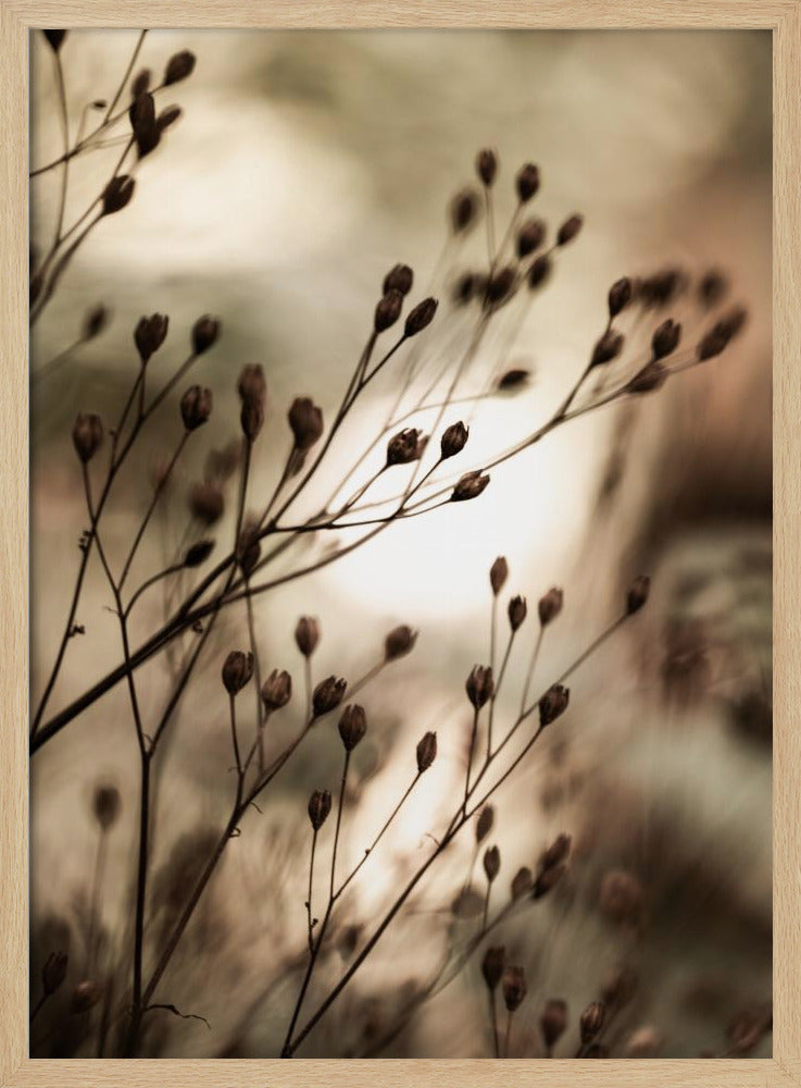 Autumn Lights | Poster