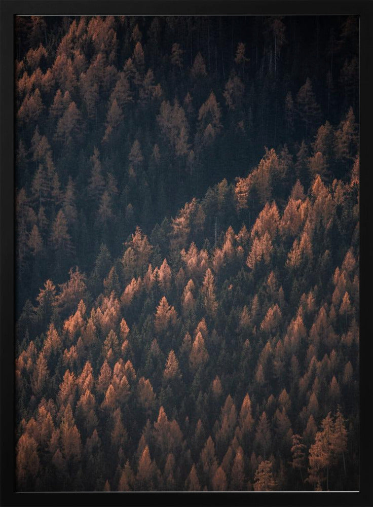 Autumn Woods 2 | Poster