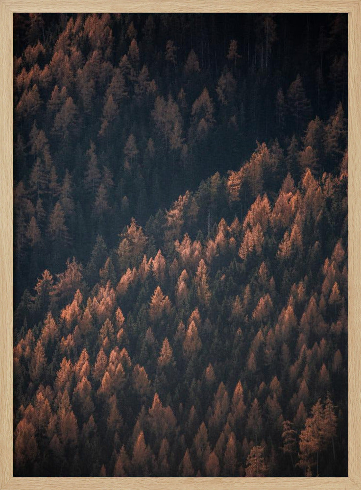 Autumn Woods 2 | Poster