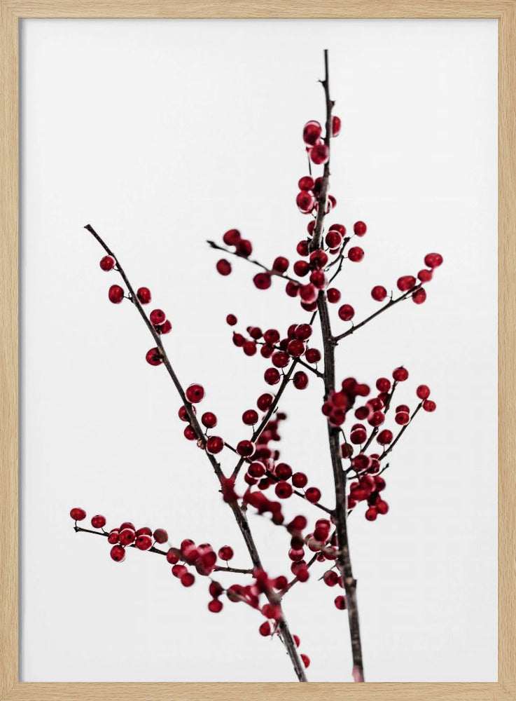 Red Berries 2 | Poster