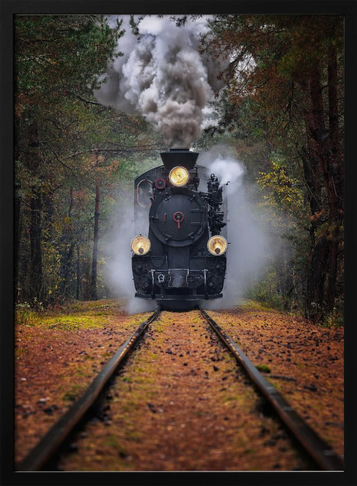 Through the autumn forest | Poster